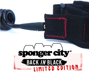 This month Feature on the spongercity store